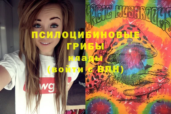 молекула духа Алексеевка