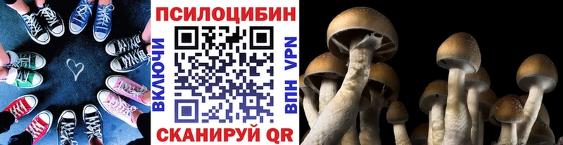 Псилоцибиновые грибы Psilocybine cubensis  цены   Белая Калитва 